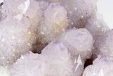 Cactus Quartz (Amethyst) Crystal Cluster - South Africa #206195-4